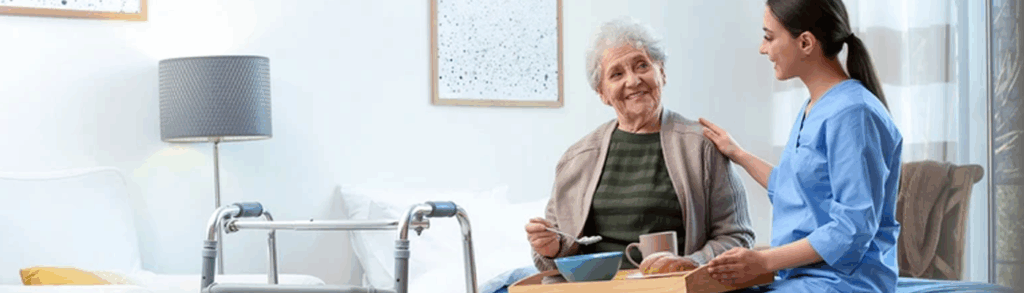 banner-17